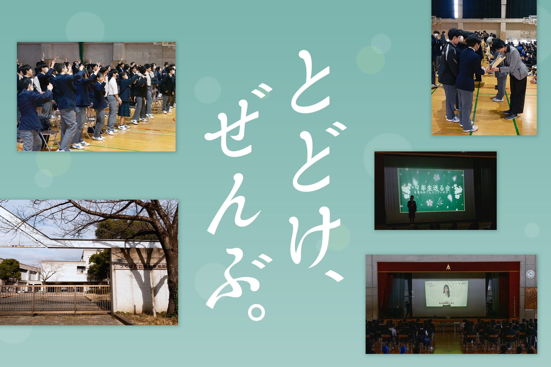 ZORN 汚名返上 横アリ DVD ペンライト付 【公式通販】