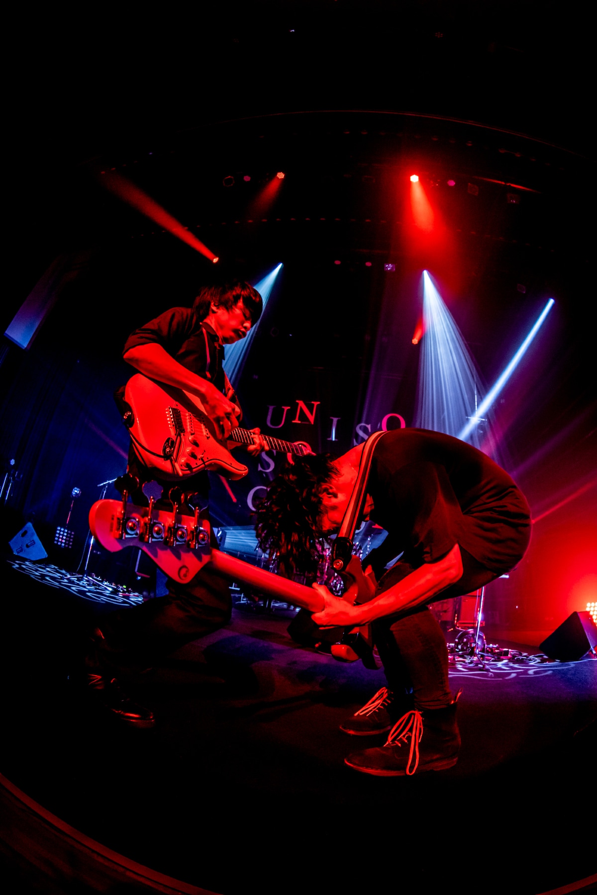 左から斎藤宏介（Vo, G）、田淵智也（B）。