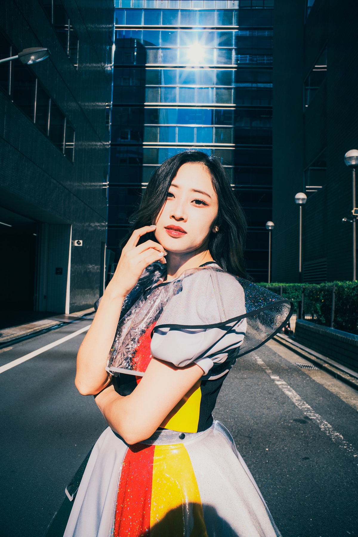 モモチ・ンゲール（豆柴の大群）