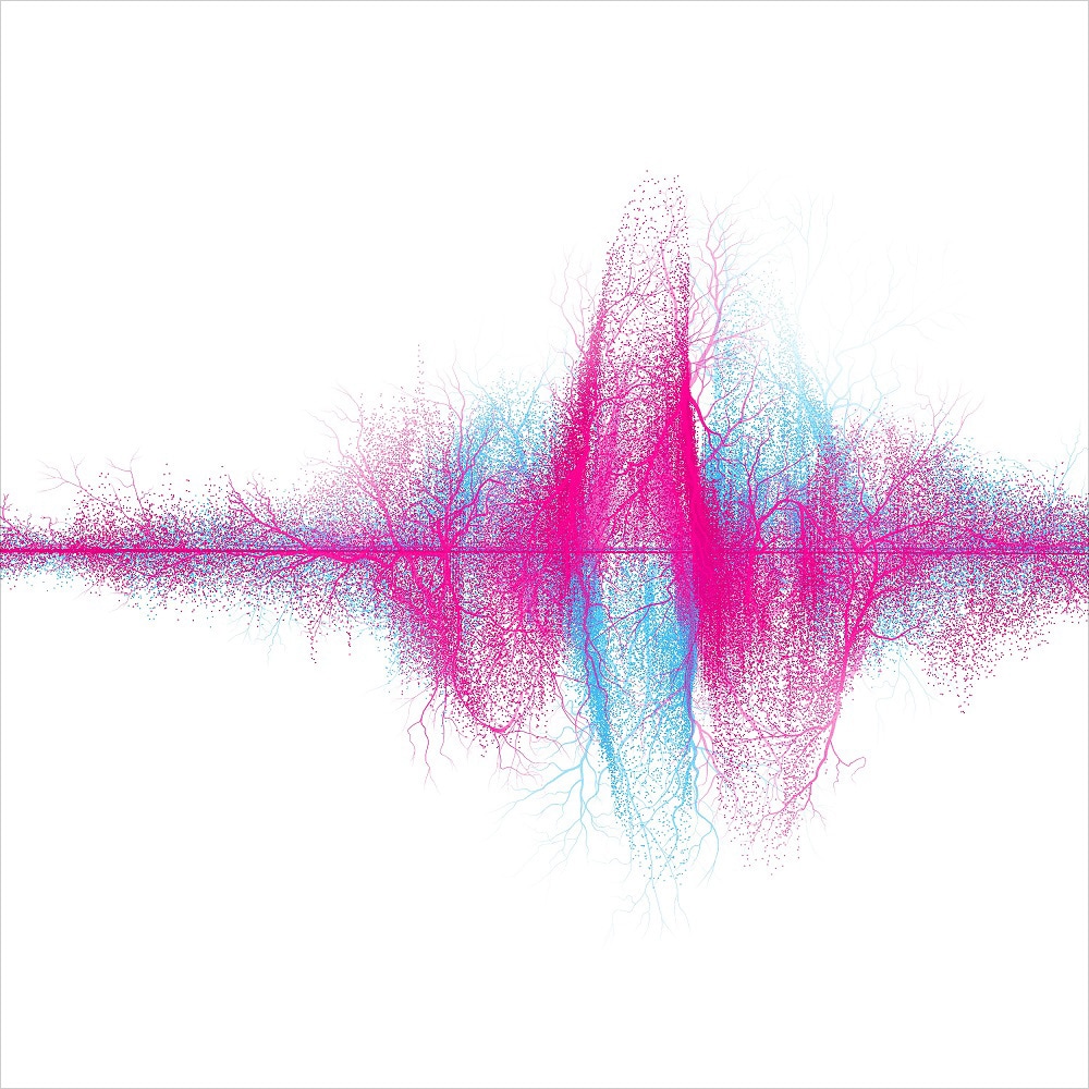 アルバム「音楽」ジャケット