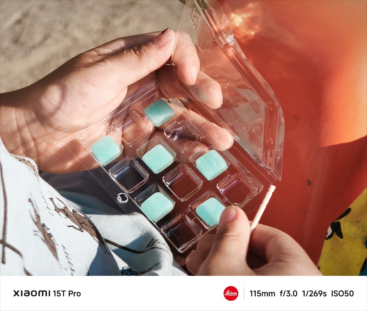 「市松模様」（写真：菊池亜希子、撮影機材：スマートフォン Xiaomi 15T Pro）