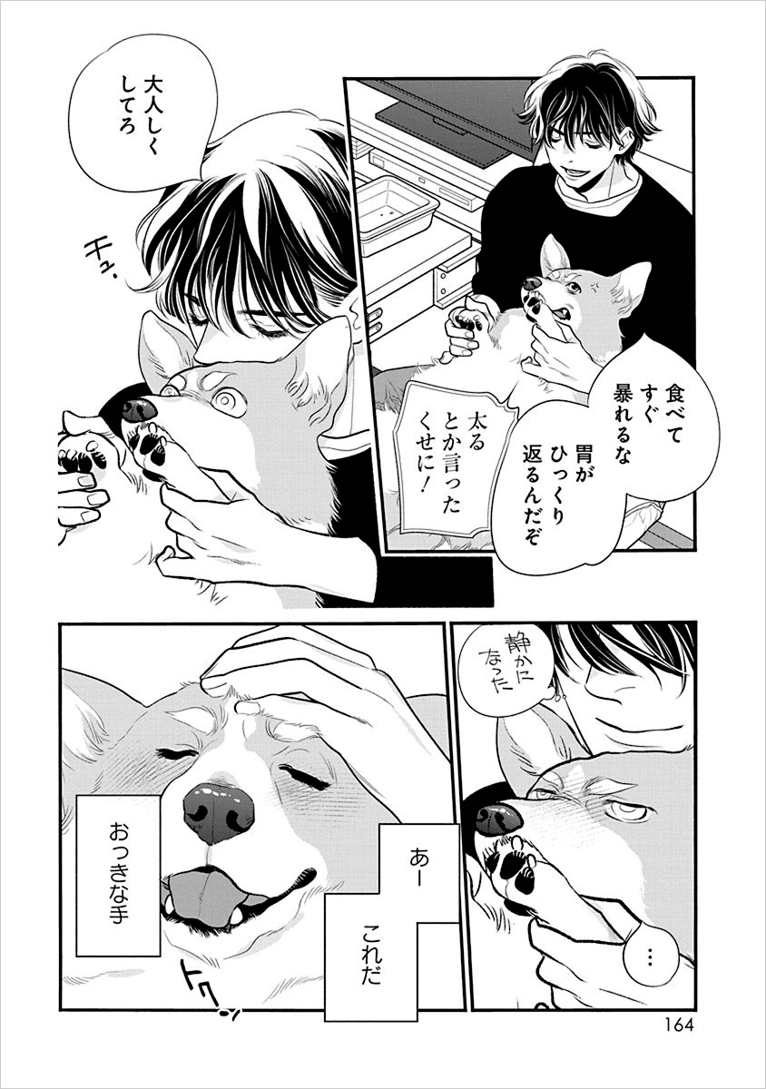 「犬飼くんのシッポ-恋するMOON DOGスピンオフ-」より。