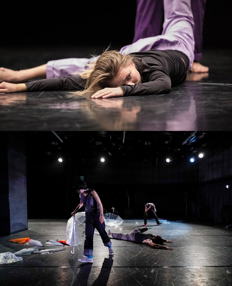（上段）ヤンナ・ヤロネン「BEAT I just wish to feel you」より。© Daniel Domolky（下段）、浅川奏瑛過去の公演より。（撮影：田中洋二）