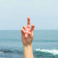 空白ごっこ「かみさま / サンクチュアリ」（配信）