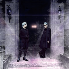 fuzzy knot「BLACK SWAN」（通常盤）