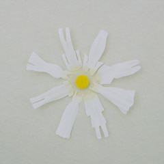 wacci「恋だろ / 僕らの一歩」（初回限定盤）