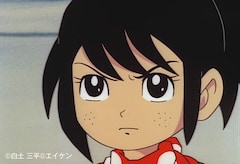 アニメ「サスケ」（全29話）