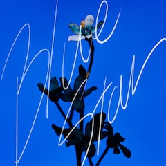 さくらしめじ「ブルースター」(配信)