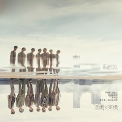 原因は自分にある。「虚像と実像」(初回限定盤)
