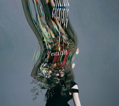 Aimer「escalate」（初回限定盤）