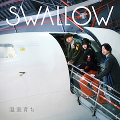 SWALLOW「温室育ち」