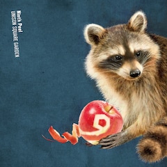 UNISON SQUARE GARDEN「Ninth Peel」（通常盤）