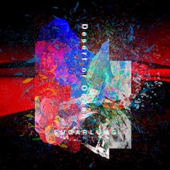 SUGARLUNG「Desert or Ocean」