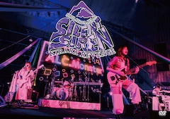 SILENT SIREN「SILENT SIREN きららリベンジ～サイサイ10歳祭～ @ 日比谷野外大音楽堂」（DVD）