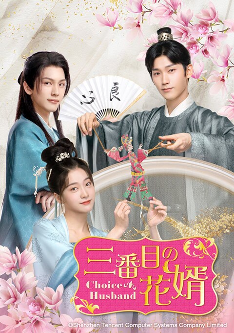 中国ドラマ　三番目の花婿　全巻BOX　土日限定値下げ 中国ドラマ「三番目の花婿～Choice Husband～」「ネコの手も借り