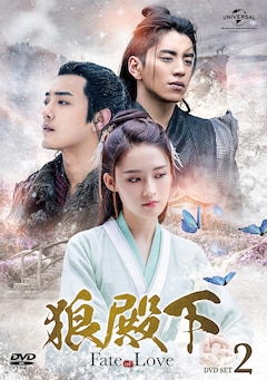 「狼殿下‐Fate of Love‐」DVD SET2(第14話~第25話)