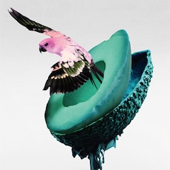 神はサイコロを振らない「心海」（初回限定盤B / 最下層からの観測 & 事象の地平線 Live盤）