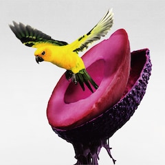 神はサイコロを振らない「心海」（完全数量限定Goods盤）