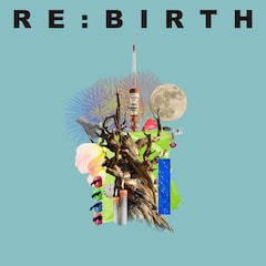 Ivy to Fraudulent Game「RE:BIRTH」