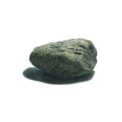 家主「石のような自由」（配信）