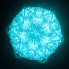 リーガルリリー「Cとし生けるもの」（通常盤）