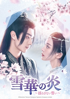 「雪華の炎~揺るぎない誓い~」DVD-SET1(第1話~第14話)