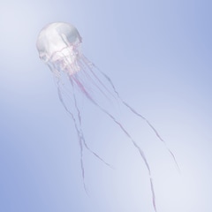 SCANDAL「LUMINOUS」（初回限定盤A）