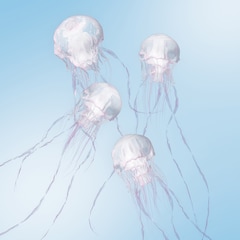 SCANDAL「LUMINOUS」（通常盤）