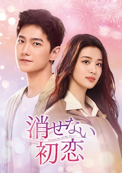 「消せない初恋」DVD-SET3(第27話~第40話)