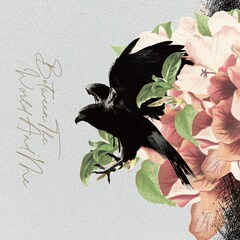 INORAN「Between The World And Me」(完全生産限定盤 LP SIZE BOX)