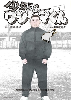 山崎童々、真鍋昌平「少年院ウシジマくん（1）」