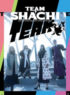 TEAM SHACHI「TEAM」（はちゃめちゃ！豪華盤 / FC限定盤［完全生産限定］）