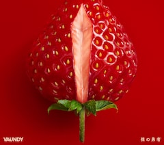 Vaundy「裸の勇者」（初回限定盤）