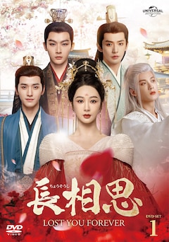 「長相思（ちょうそうし）」DVD-SET1（第1話～第16話）