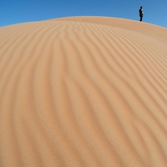 立花ハジメ「hajimeht」（通常盤）
