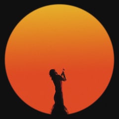 ヒグチアイ「最悪最愛」(通常盤)