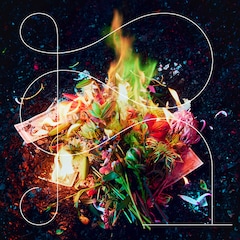 Bimi「R」