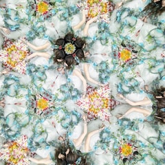 Aimer「太陽が昇らない世界」（通常盤）