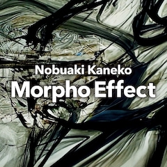 金子ノブアキ「Morpho Effect」（配信）