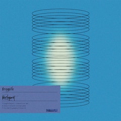 Nikoん「fragile Report」