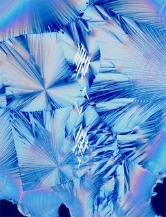 DUSTCELL「碧い海」（初回生産限定盤）