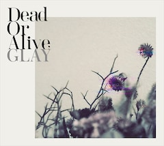 GLAY「Dead Or Alive」（CD Only盤）