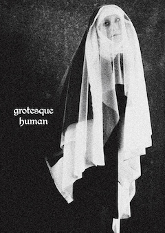 ドレスコーズ「grotesque human」（DVD）